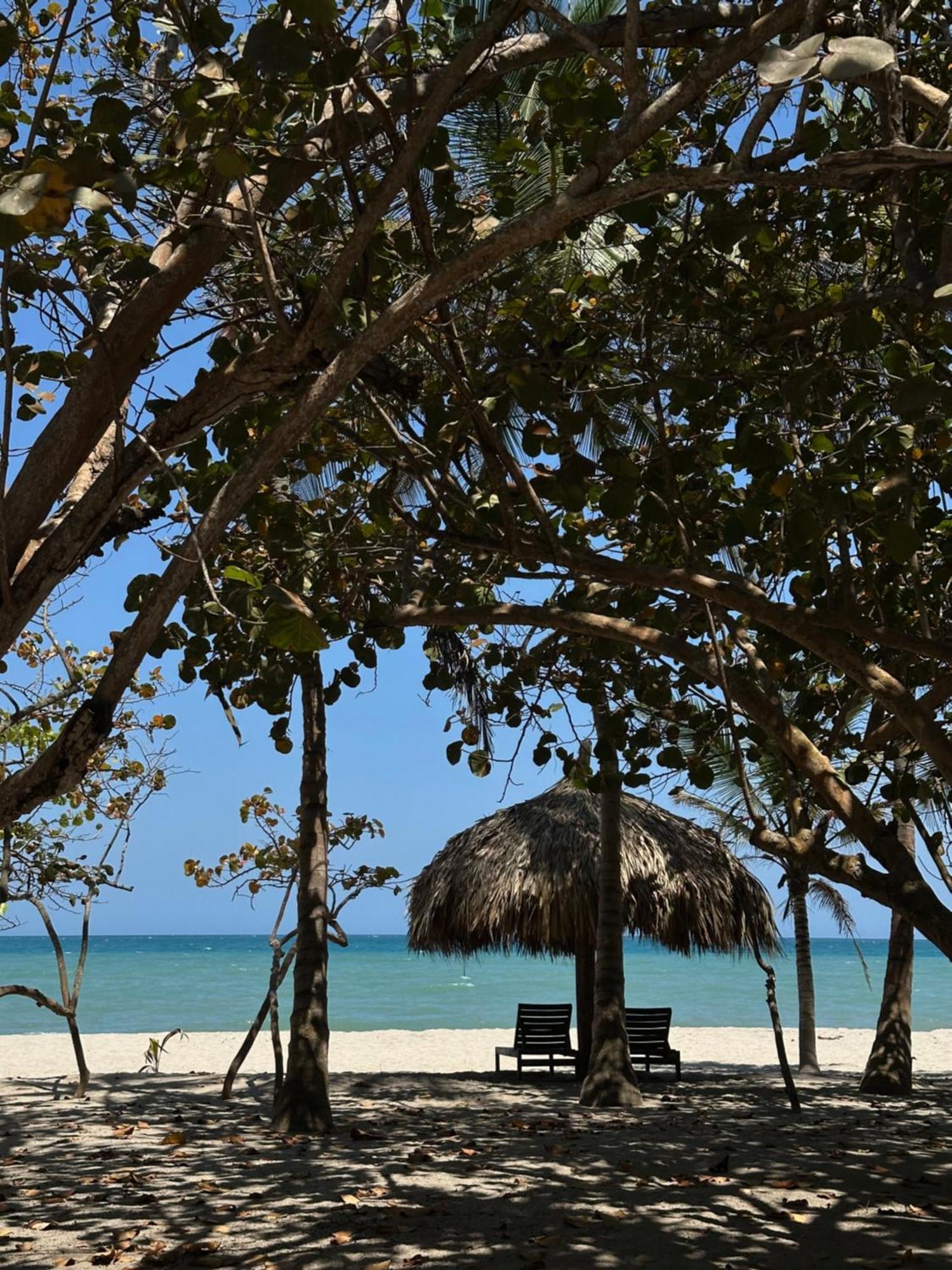 Hotel Casalina Palomino Exterior foto